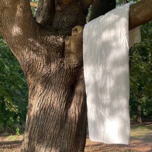 100% Luxury TENCEL™ Duvet / <i> 100% LUXUS TENCEL™ BETTDECKE </i>